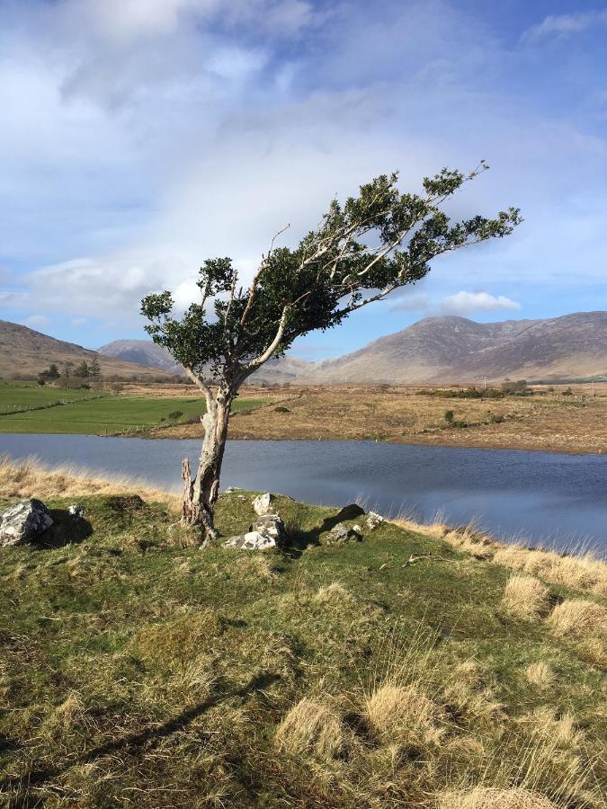 Bed and Breakfast Railway View - Connemara Recess Екстер'єр фото